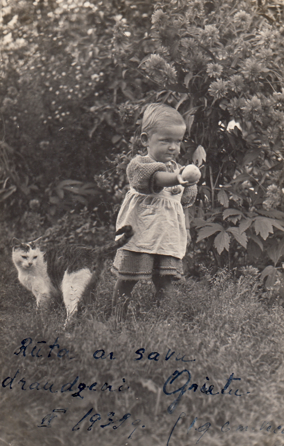 Uzspiest lai palielinātu